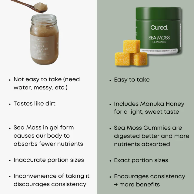 CURED® Sea Moss Gummies - Image 4