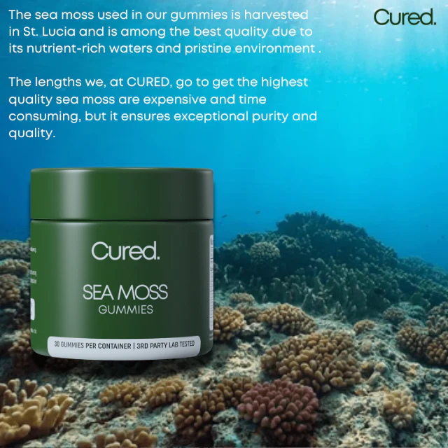 CURED® Sea Moss Gummies - Image 6