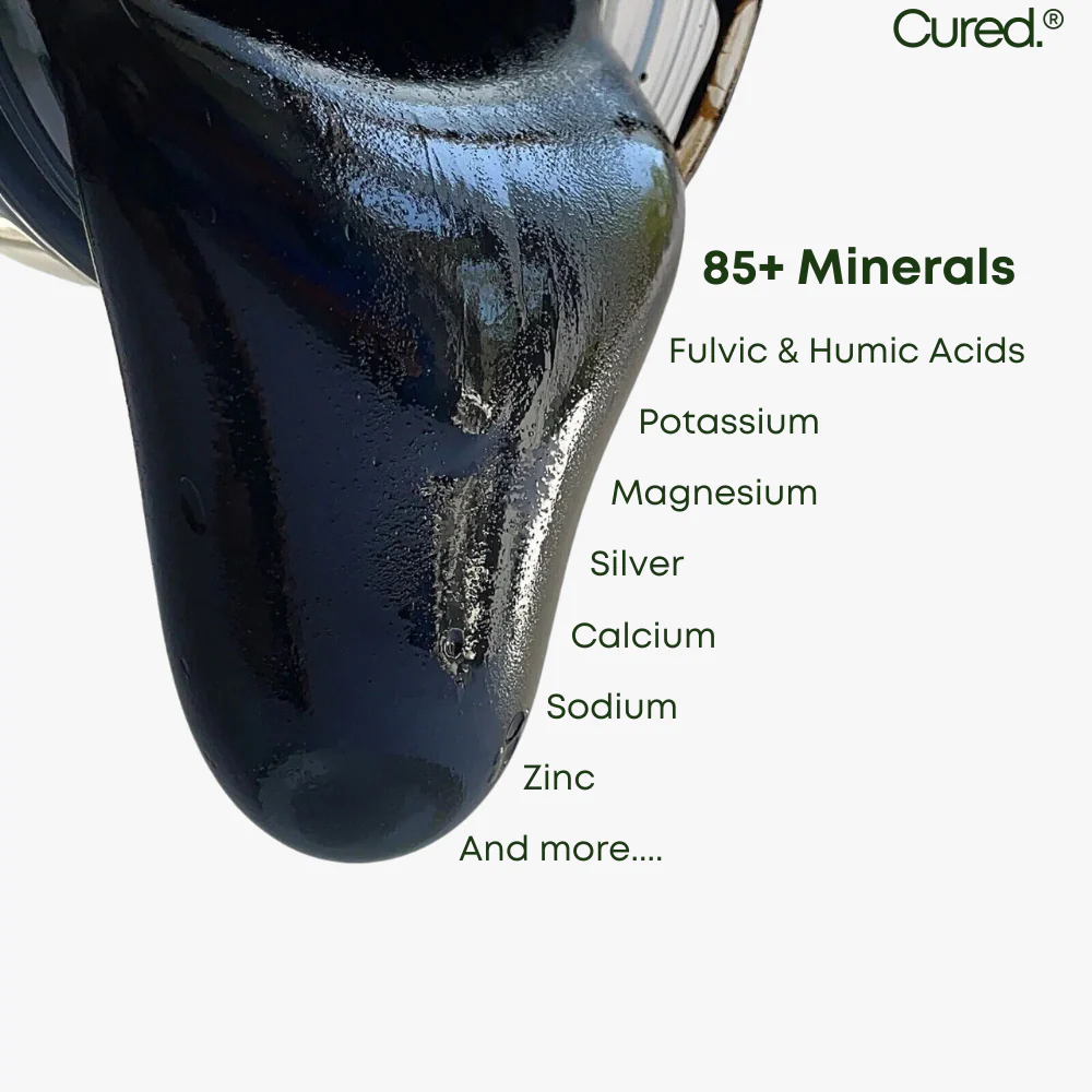 Pure Shilajit - Natural Resin - Image 6